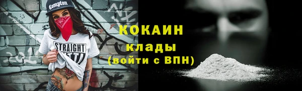 хмурый Новозыбков