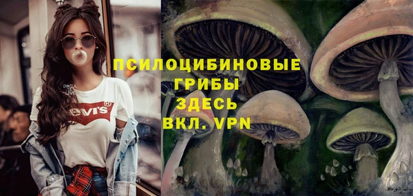 винт Арсеньев