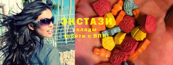 хмурый Новозыбков